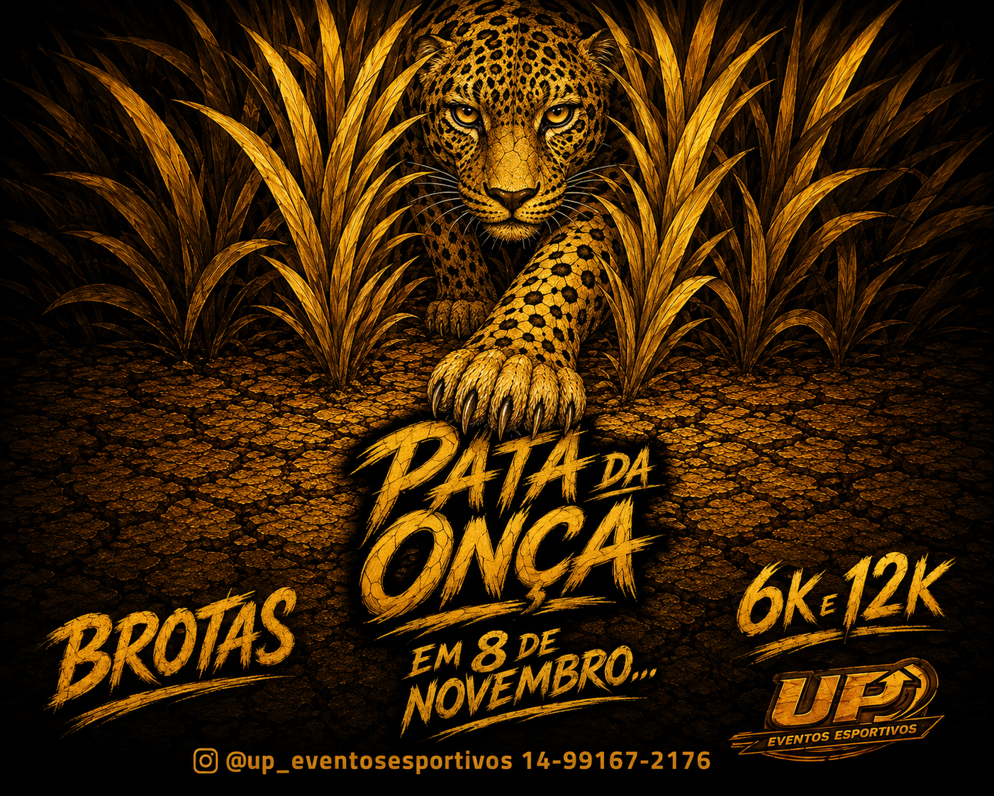 CORRIDA PATA DA ONÇA
